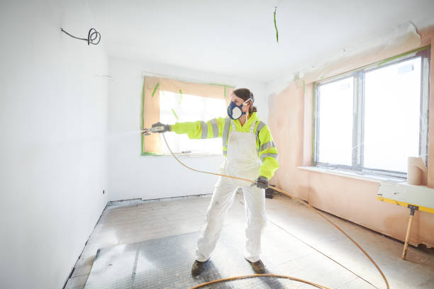 Best Mold Damage Restoration  in Mosinee, WI