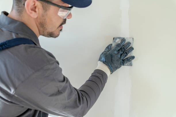 Reliable Mosinee, WI Mold Removal Solutions