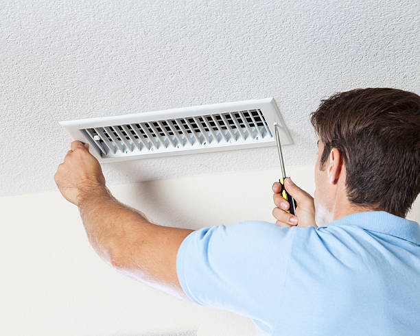 Best Crawl Space Mold Remediation  in Mosinee, WI