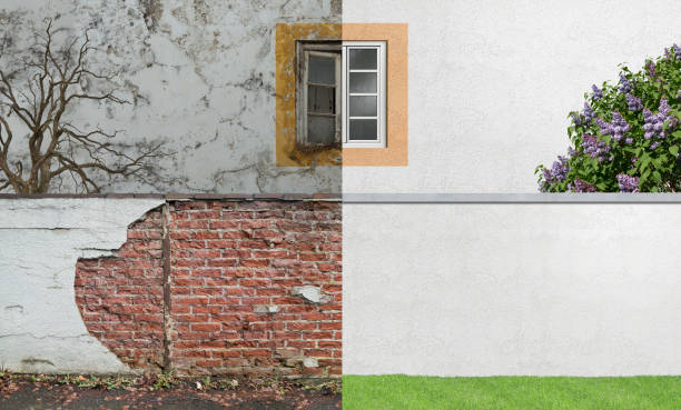 Best Environmental Consulting for Mold Prevention  in Mosinee, WI